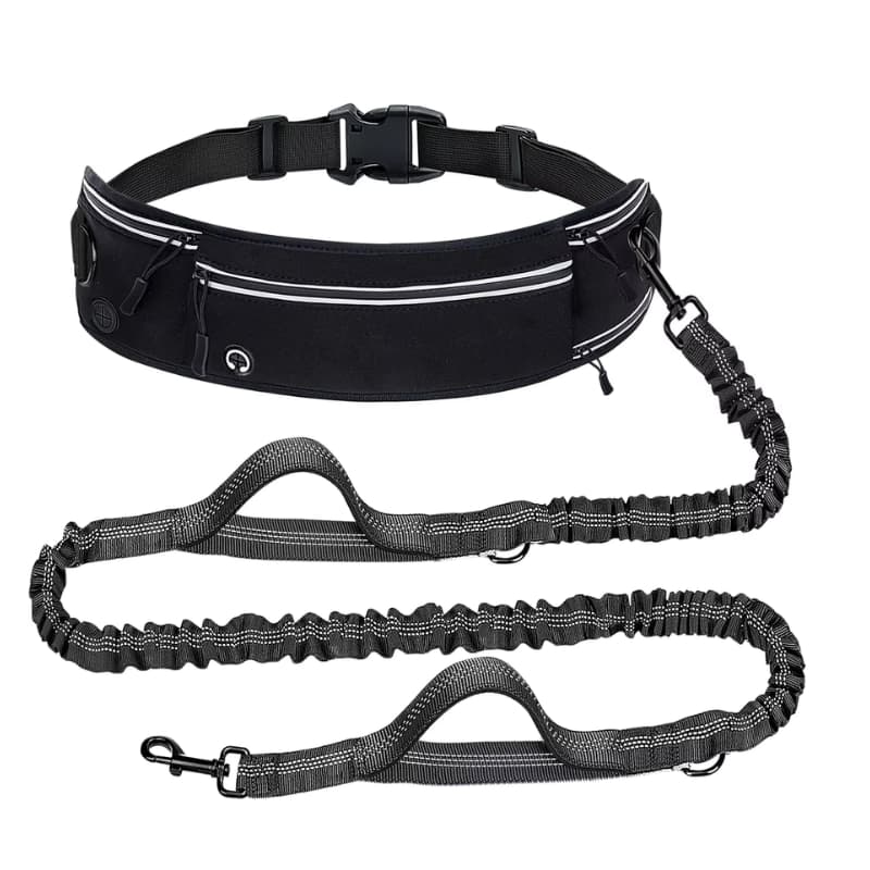 Canicross running waist belt for large dogs - BigDog Accessories™