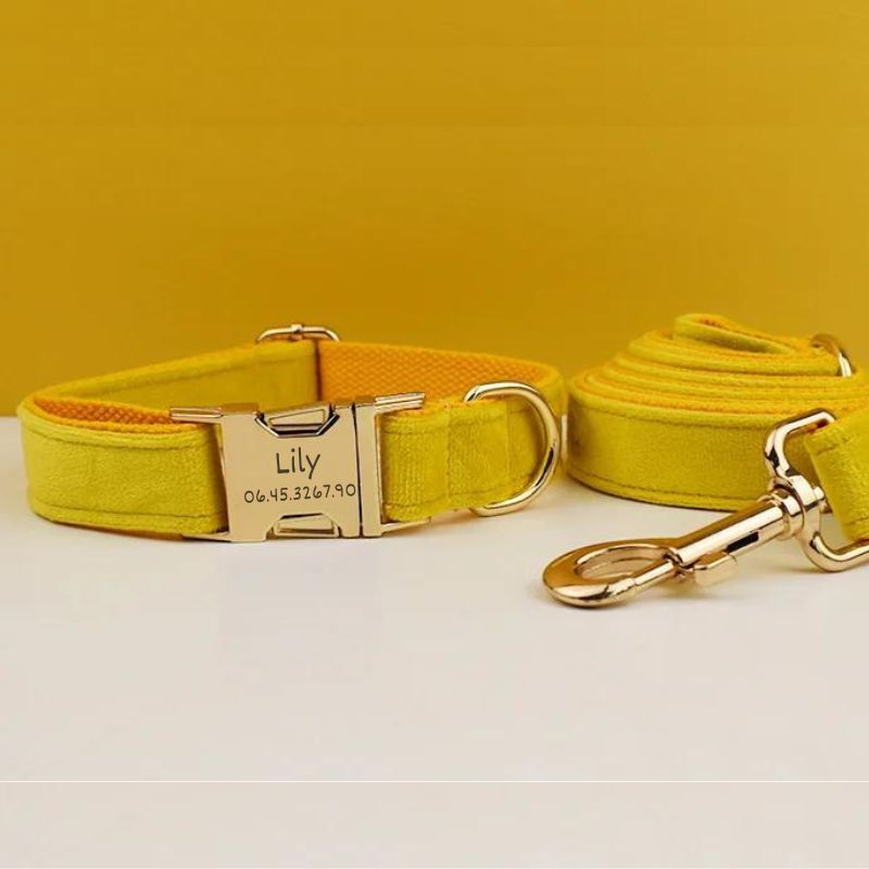 Personalised Yellow Dog Collar - BigDog Accessories™