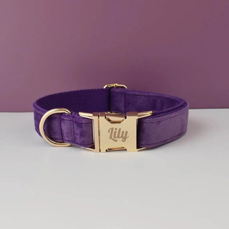 Personalised Purple Dog Collar - BigDog Accessories™