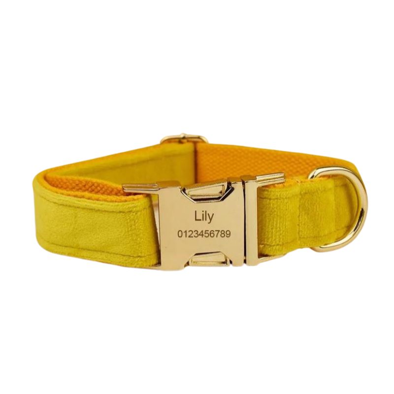 Personalised Yellow Dog Collar - BigDog Accessories™