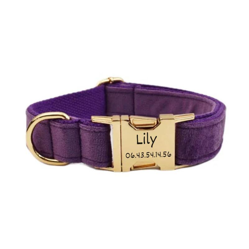 Personalised Purple Dog Collar - BigDog Accessories™
