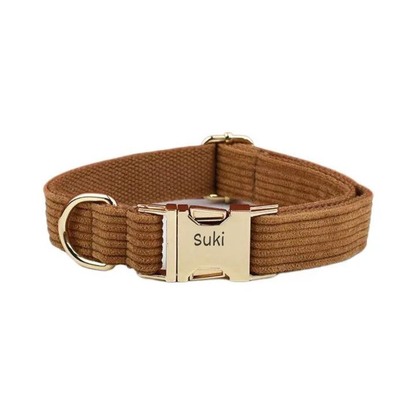 Personalised dog collar with name Lucien - BigDog Accessories™