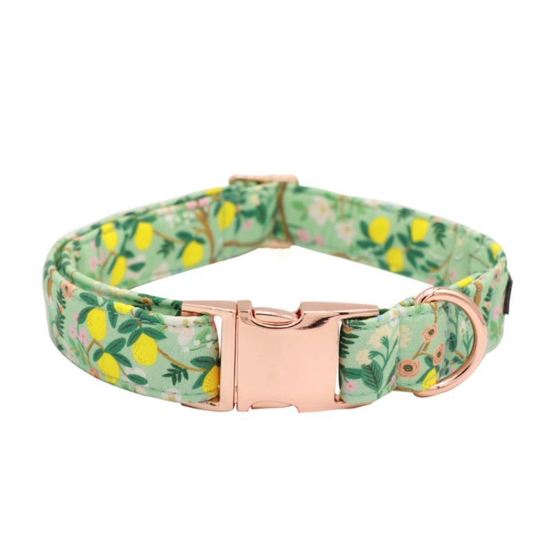 Citronella dog collar for big dogs - BigDog Accessories™