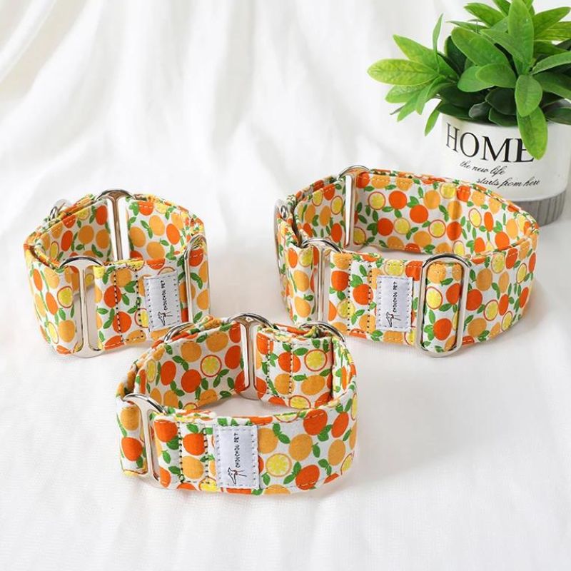 Dog Collar for Large Dogs - BigDog Accessories™