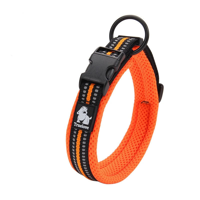 Reflective dog collar for big dogs - BigDog Accessories™