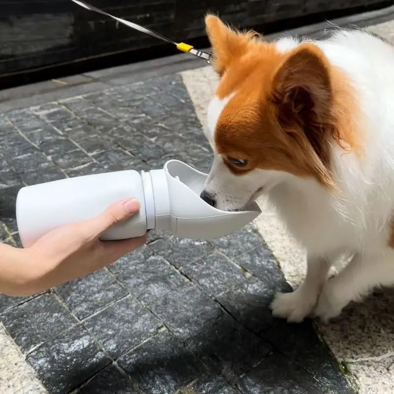 Collapsible water bottle for dogs - BigDog Accessories™