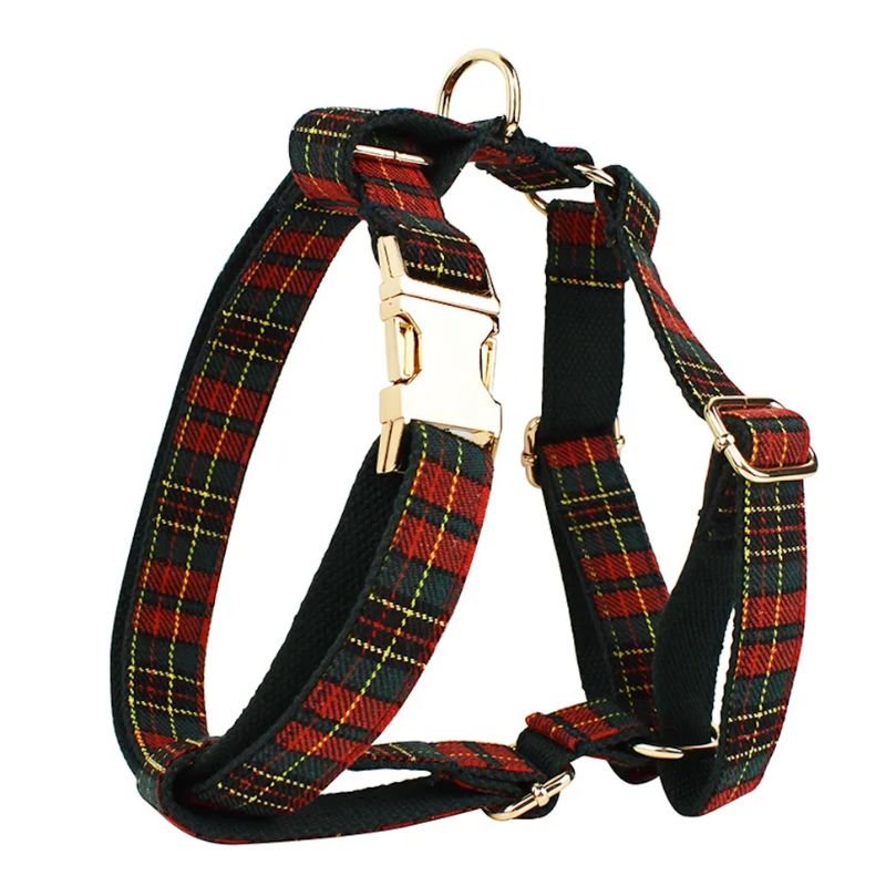 Personalised Dog Harness for Big Dogs - BigDog Accessories™