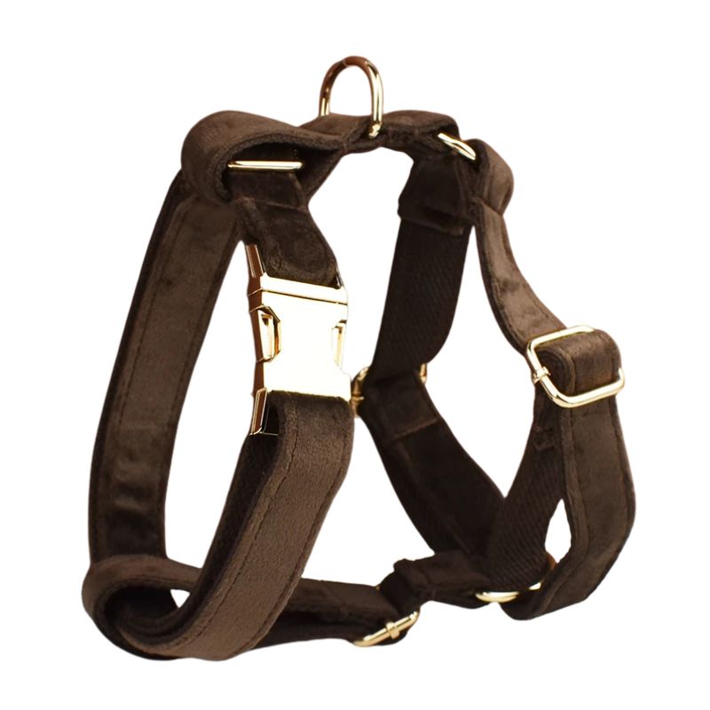 Personalised Chocolate Dog Harness for Big Dogs - BigDog Accessories™