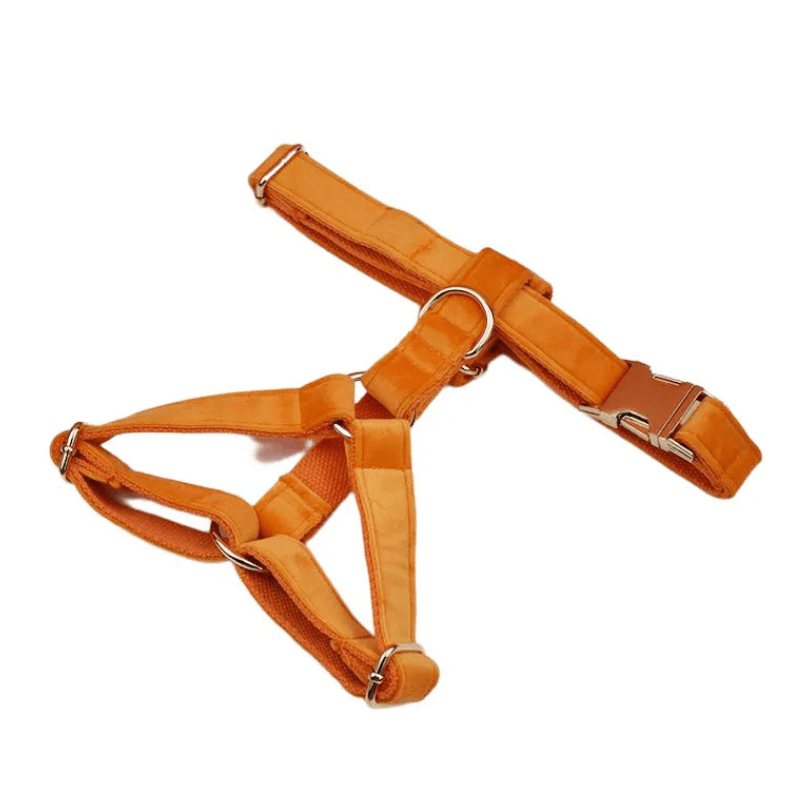Personalised Carrot Dog Harness for Large Dogs - BigDog Accessories™