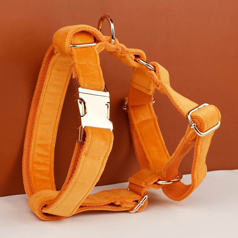 Personalised Carrot Dog Harness for Large Dogs - BigDog Accessories™