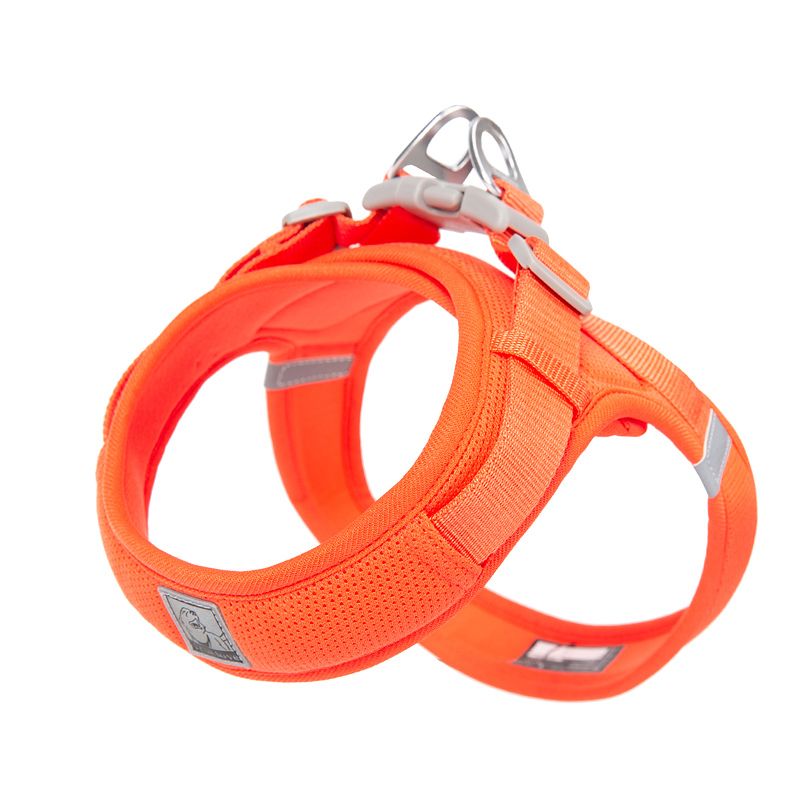 True Love Premium Dog Harness - BigDog Accessories™