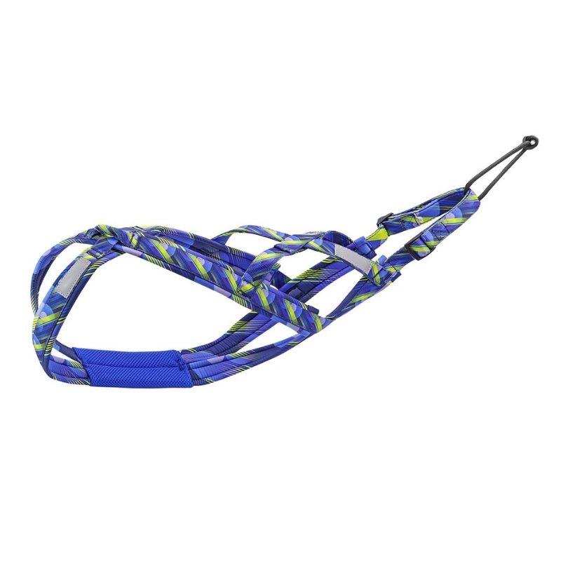 Premium Canicross Harness for Big Dogs - BigDog Accessories™