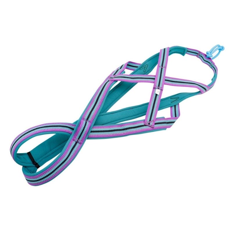 Colourful Canicross Dog Harness - BigDog Accessories™