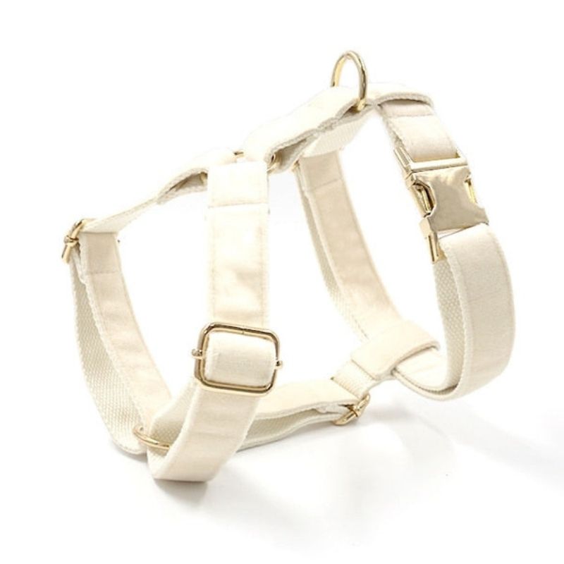 Personalised cream dog harness for big dogs - BigDog Accessories™