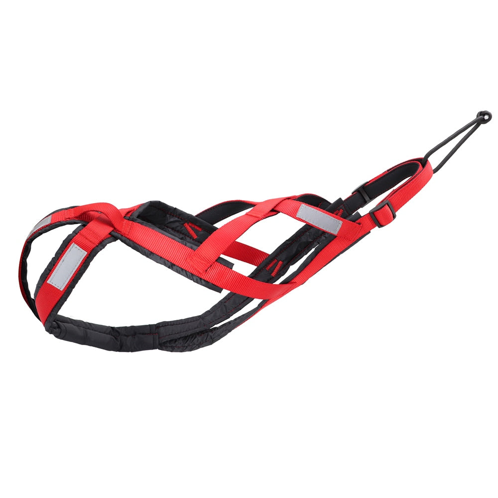 Reflective Canicross Harness for Big Dogs - BigDog Accessories™