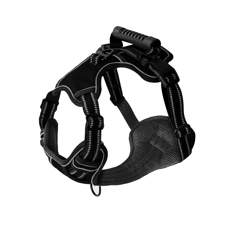 Dog harness for huskies - BigDog Accessories™