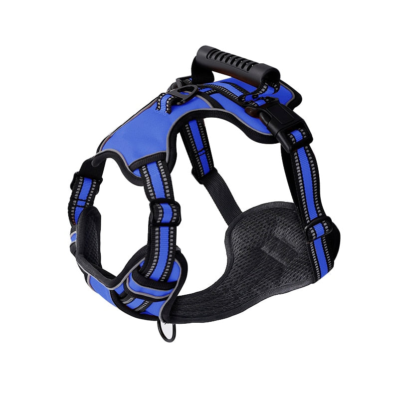 Dog harness for huskies - BigDog Accessories™