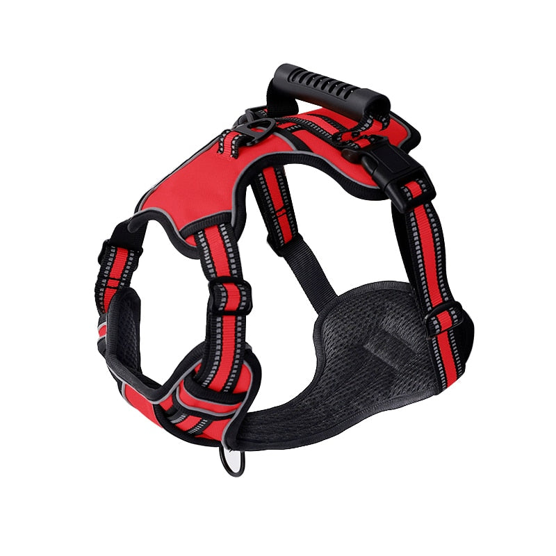 Dog harness for huskies - BigDog Accessories™