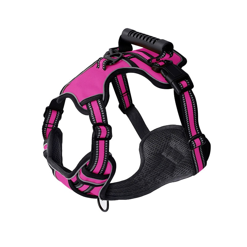 Dog harness for huskies - BigDog Accessories™