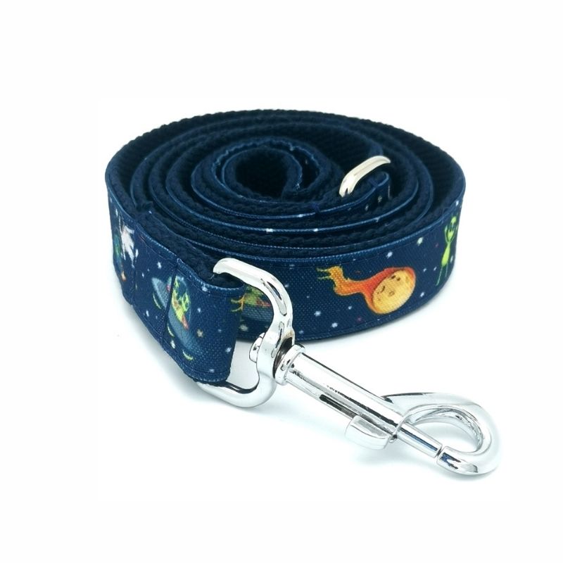Stellar Dog Lead for Large Dogs - BigDog Accessories™