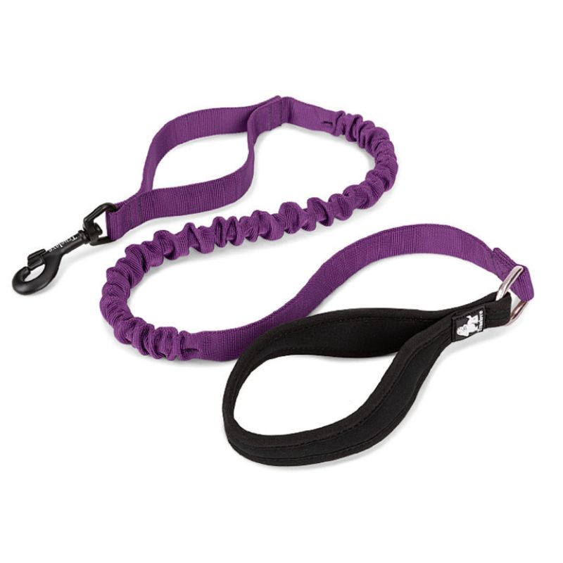 Retractable dog lead for big dogs - BigDog Accessories™