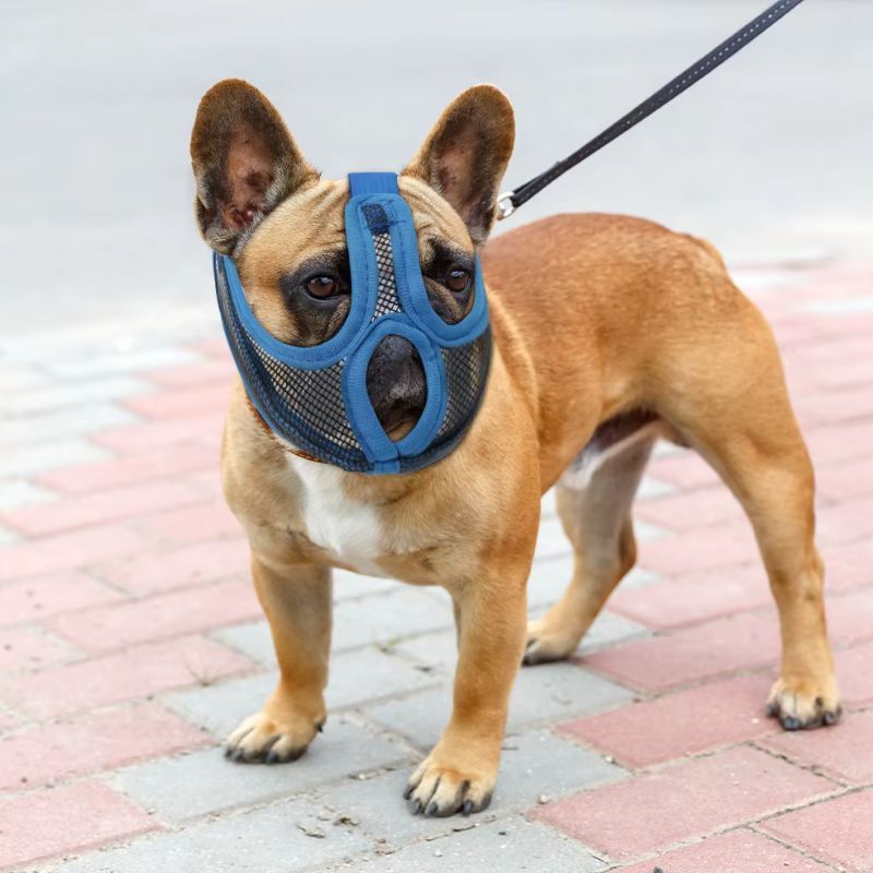 Dog Muzzle for Bulldogs - BigDog Accessories™