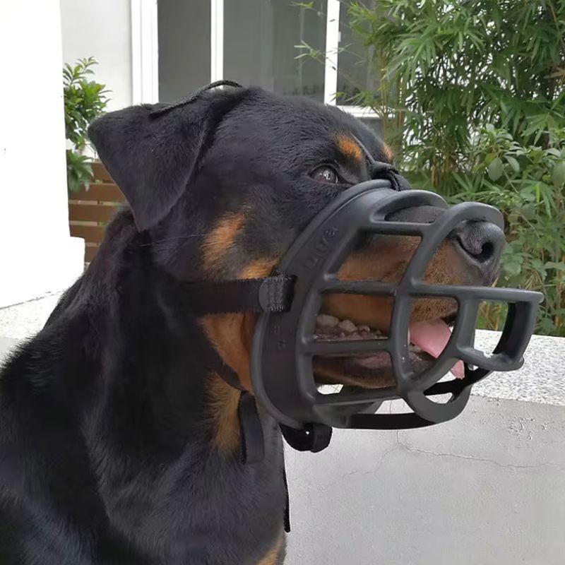 Thick dog muzzle for large dogs - BigDog Accessories™