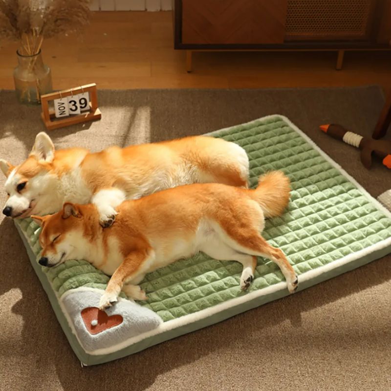 Rectangular dog bed for large dogs - BigDog Accessories™