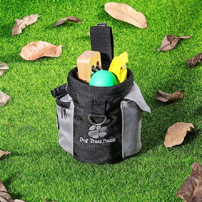 Dog Treat Pouch for Big Dogs - BigDog Accessories™