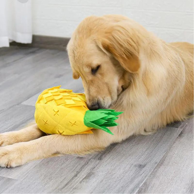 Pineapple Snuffle Mat for Big Dogs - BigDog Accessories™